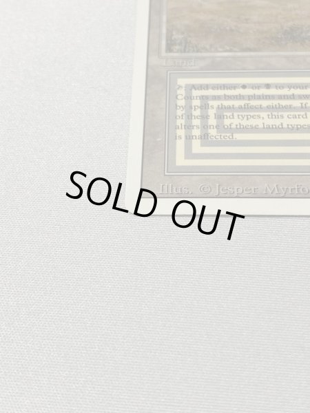 画像5: 《Scrubland》[3ED] NM (5)