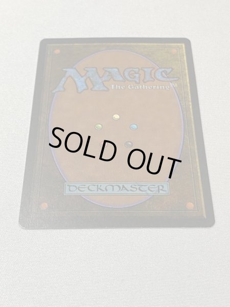 画像6: 《Scrubland》[3ED] NM (6)