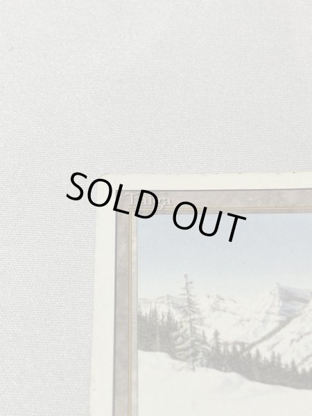 画像2: 《Taiga》[3ED] MP (2)