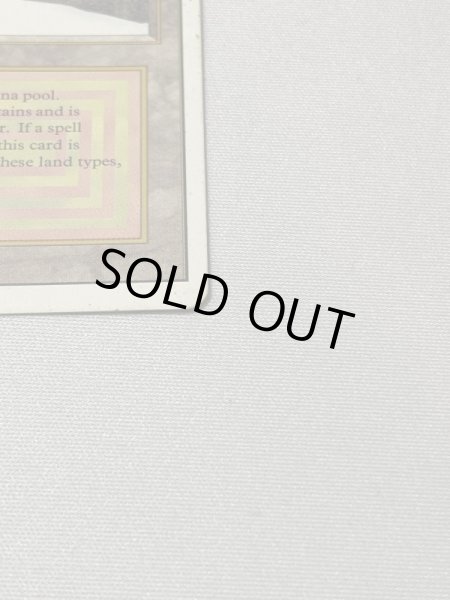 画像4: 《Taiga》[3ED] MP (4)