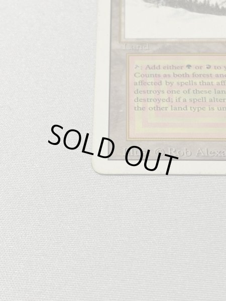 画像5: 《Taiga》[3ED] MP (5)