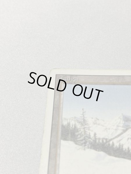 画像2: 《Taiga》[3ED] HP (2)