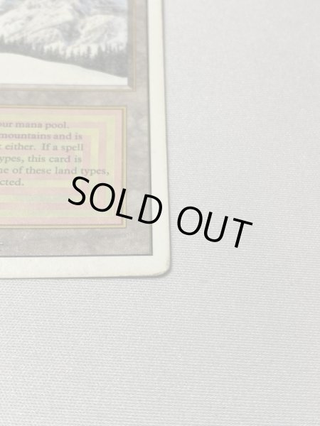 画像4: 《Taiga》[3ED] HP (4)