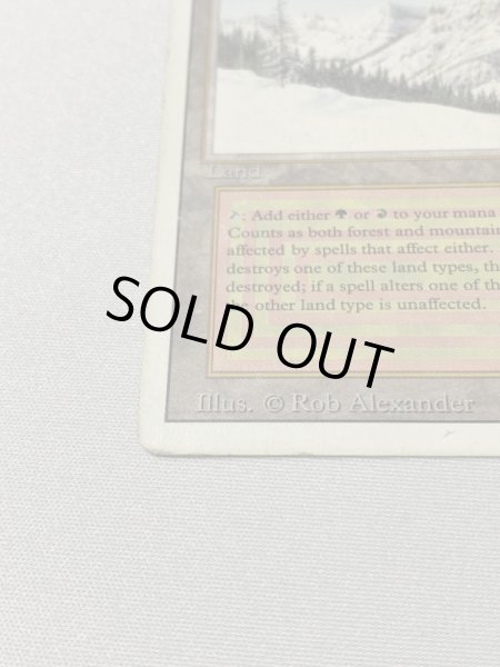 画像5: 《Taiga》[3ED] HP (5)