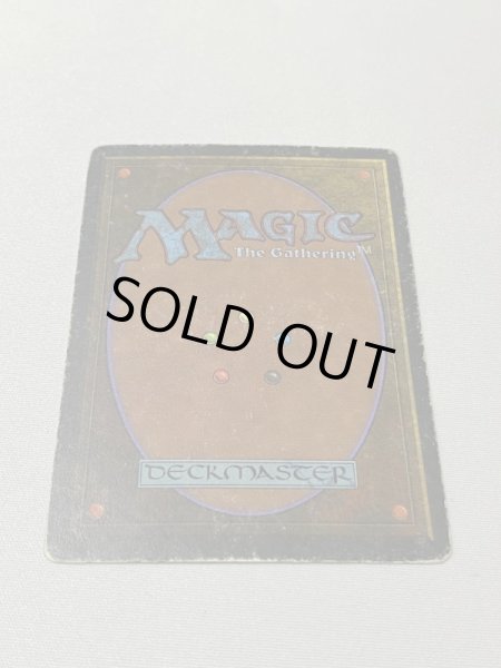 画像6: 《Taiga》[3ED] HP (6)