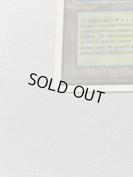 画像5: イタリア語《Tropical Island》[3ED] SP (5)