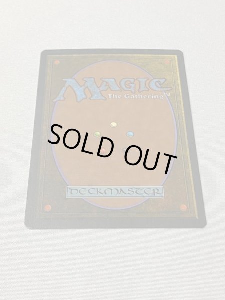 画像6: イタリア語《Tropical Island》[3ED] SP (6)