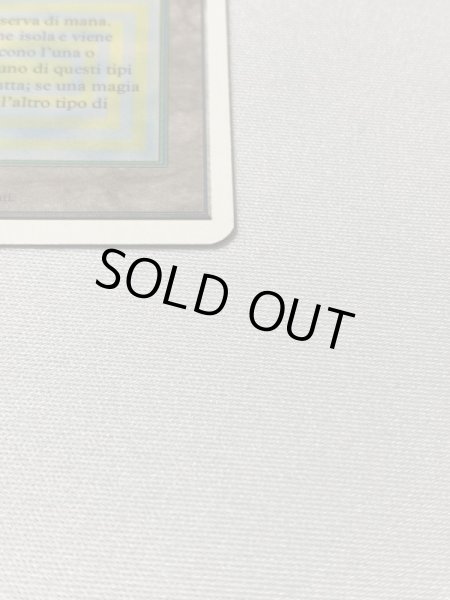 画像4: 《Tropical Island》[3ED] SP イタリア語 (4)