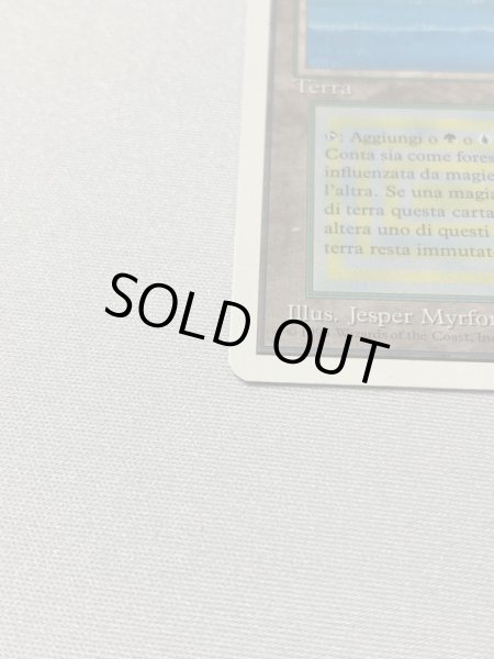 画像5: 《Tropical Island》[3ED] SP イタリア語 (5)