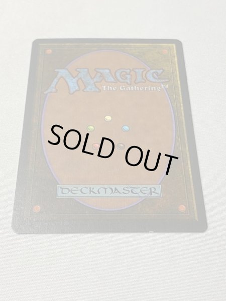 画像6: 《Tropical Island》[3ED] SP イタリア語 (6)