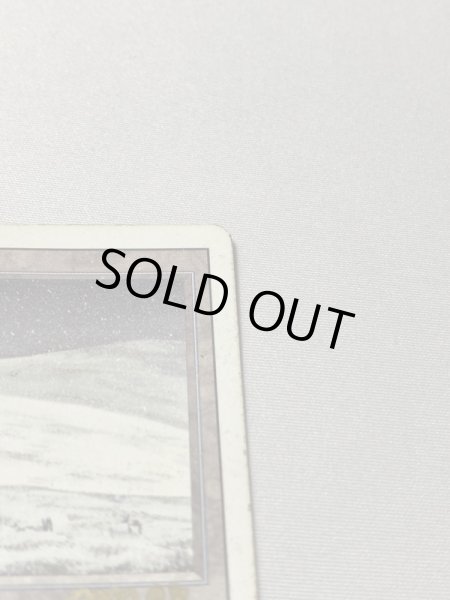 画像3: 《Tundra》[3ED] HP サインド (3)