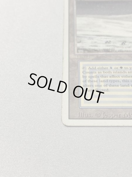 画像5: 《Tundra》[3ED] HP サインド (5)