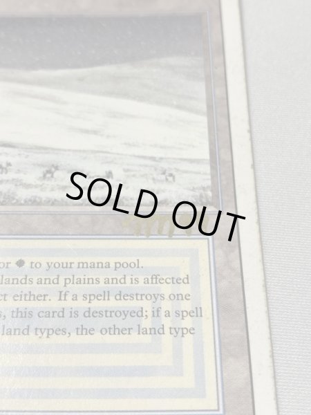 画像6: 《Tundra》[3ED] HP サインド (6)