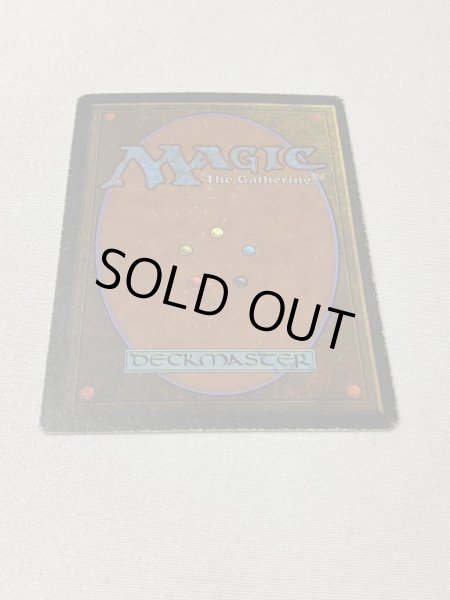 画像7: 《Tundra》[3ED] HP サインド (7)