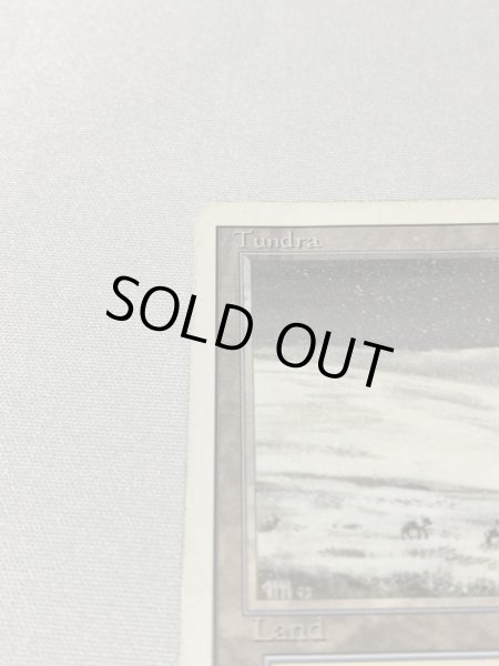 画像2: 《Tundra》[3ED] HP (2)