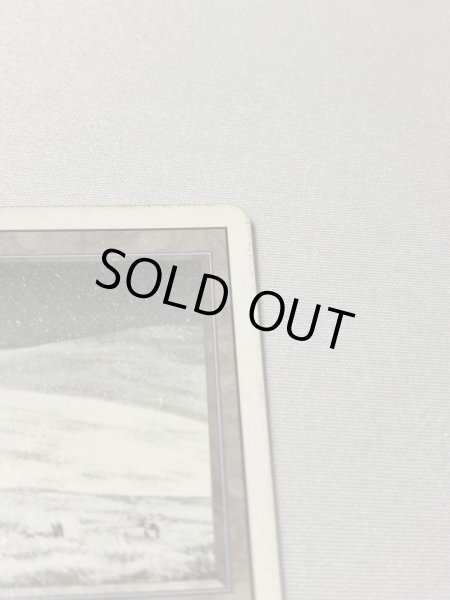 画像3: 《Tundra》[3ED] HP (3)