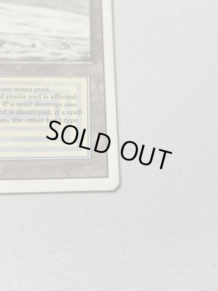 画像4: 《Tundra》[3ED] HP (4)