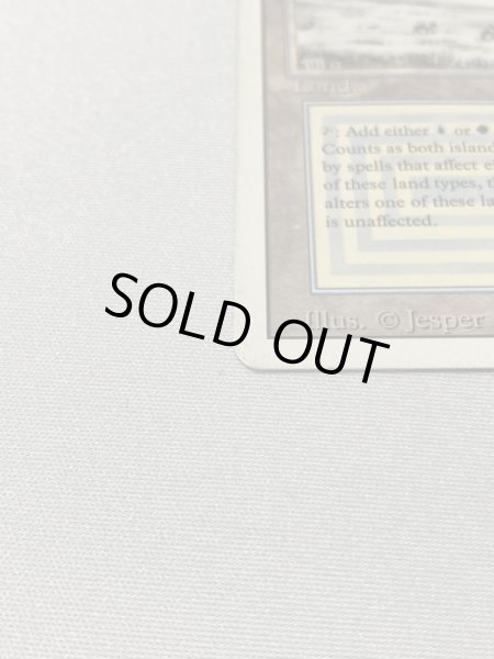 画像5: 《Tundra》[3ED] HP (5)