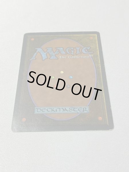 画像6: 《Tundra》[3ED] HP (6)