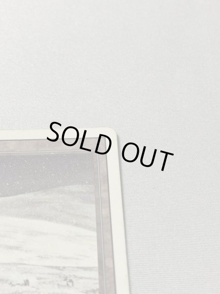 画像3: 《Tundra》[3ED] MP (3)