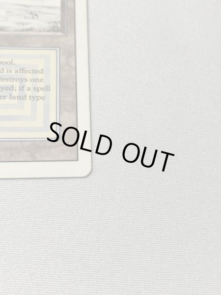 画像4: 《Tundra》[3ED] MP (4)