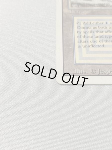 画像5: 《Tundra》[3ED] MP (5)