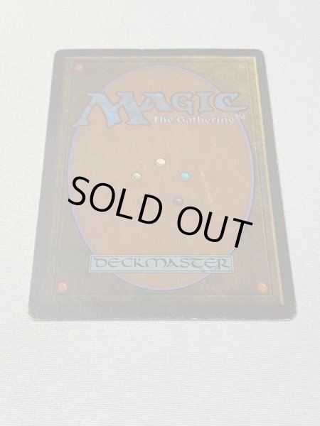 画像6: 《Tundra》[3ED] MP (6)