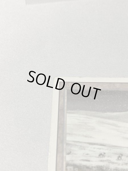 画像2: 《Tundra》[3ED] MP (2)