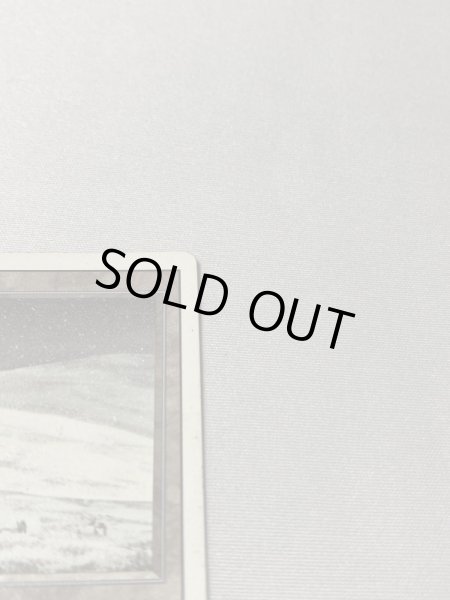 画像3: 《Tundra》[3ED] MP (3)