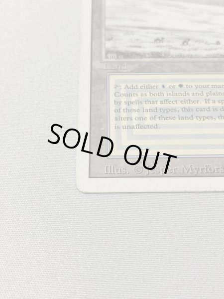 画像5: 《Tundra》[3ED] MP (5)