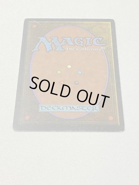 画像6: 《Tundra》[3ED] MP (6)