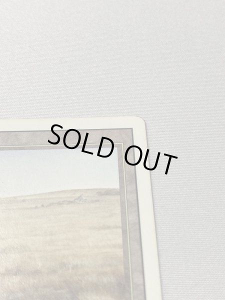 画像3: 《Savannah》[3ED] SP インク (3)