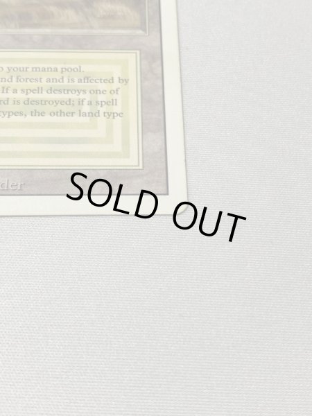 画像4: 《Savannah》[3ED] SP インク (4)