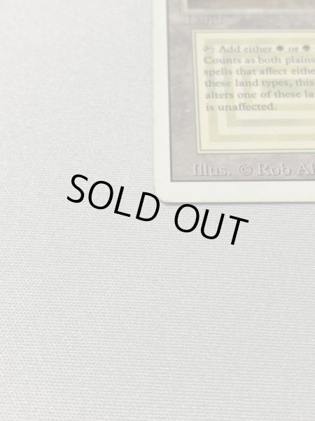 画像5: 《Savannah》[3ED] SP インク (5)