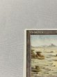 画像2: 《Badlands》[3ED] Poor イタリア語 (2)