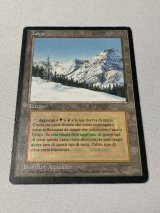 デュアルランド/Dual Land - MTG専門店 Initiative