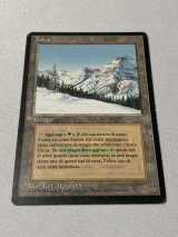 Taiga デュアルランド MTG(デュアルランド)のカード販売・通販 | magi