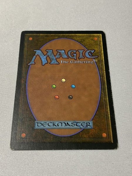 画像6: イタリア語《Taiga》[3EDBB] MP (6)