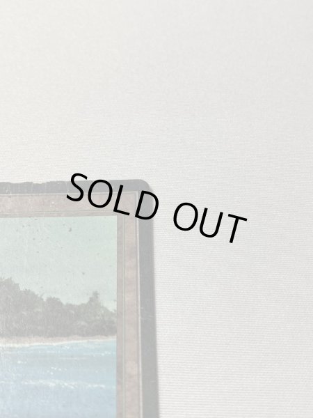 画像3: フランス語《Tropical Island》[3EDBB] POOR (3)