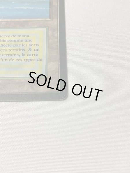 画像5: フランス語《Tropical Island》[3EDBB] POOR (5)