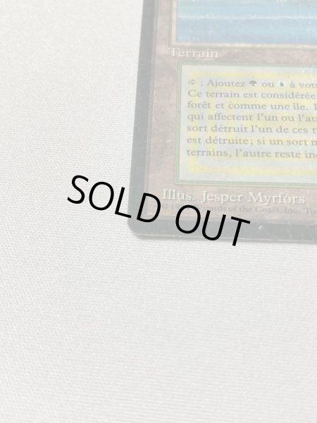 画像4: フランス語《Tropical Island》[3EDBB] POOR (4)