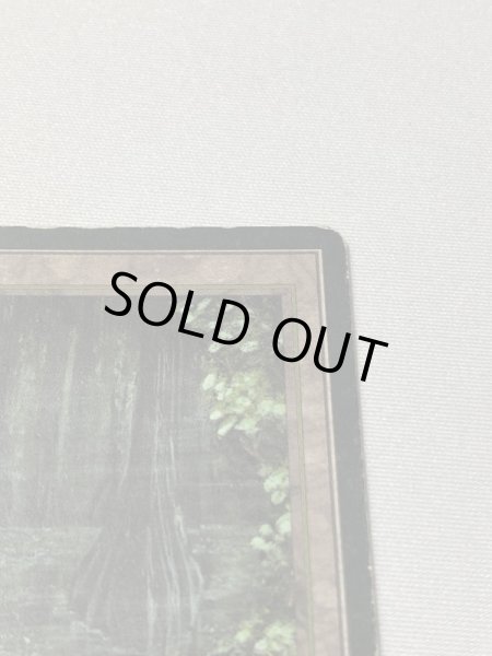 画像3: 《Bayou》[3EDBB] HPフランス語 (3)