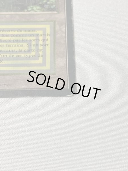 画像4: 《Bayou》[3EDBB] HPフランス語 (4)