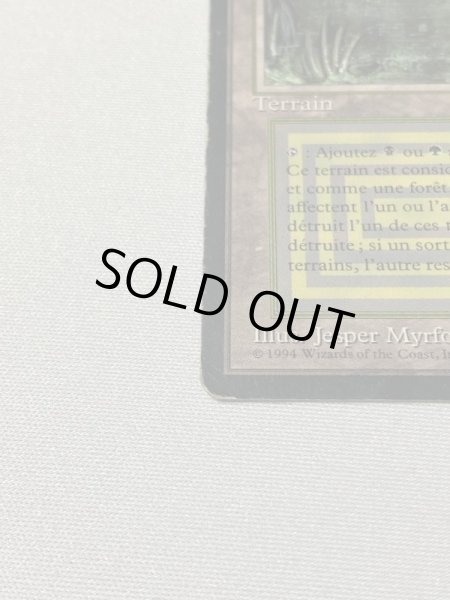 画像5: 《Bayou》[3EDBB] HPフランス語 (5)