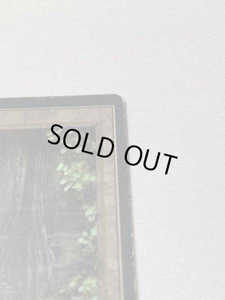 画像3: 《Bayou》[3EDBB] HPフランス語 (3)