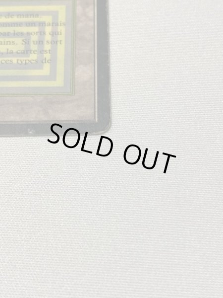 画像4: 《Bayou》[3EDBB] HPフランス語 (4)