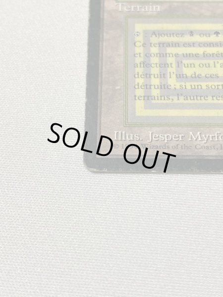 画像5: 《Bayou》[3EDBB] HPフランス語 (5)