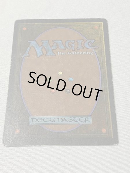 画像6: 《Bayou》[3EDBB] HPフランス語 (6)