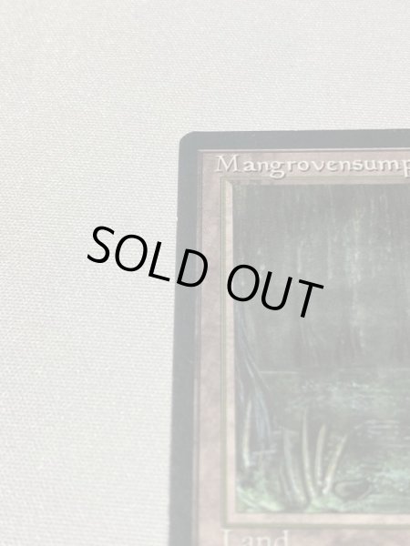 画像2: ドイツ語《Bayou》[3EDBB] SP (2)