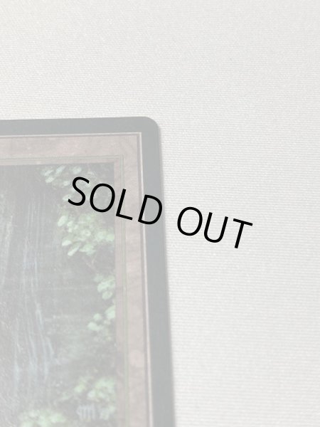 画像3: ドイツ語《Bayou》[3EDBB] SP (3)